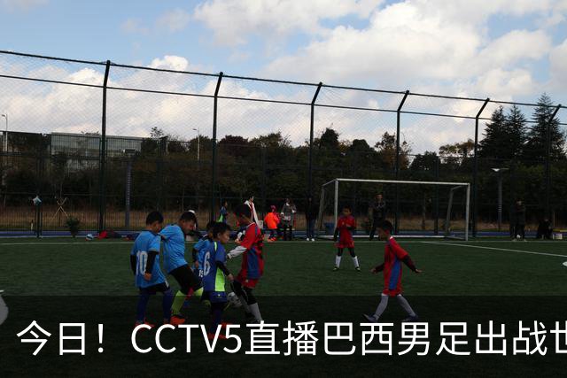 今日！CCTV5直播巴西男足出战世界杯，精彩呈现转NBA与F1赛事
